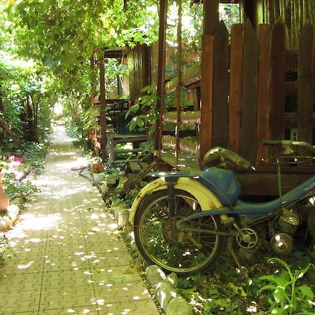Olympos Natural Pansiyon Eksteriør billede