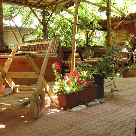 Olympos Natural Pansiyon Eksteriør billede