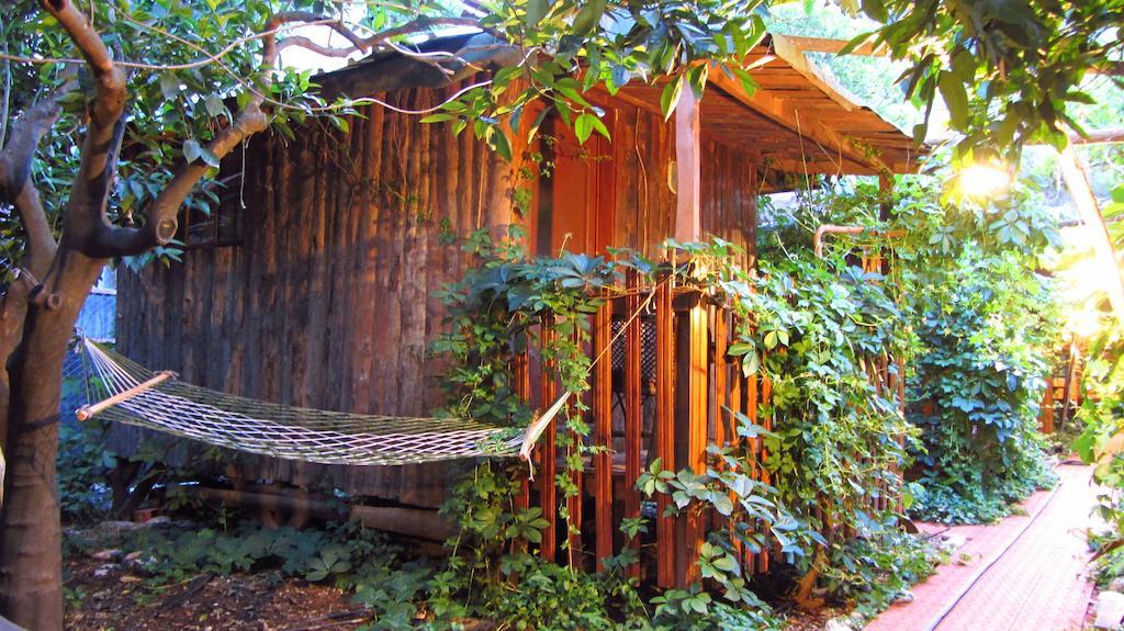 Olympos Natural Pansiyon Værelse billede