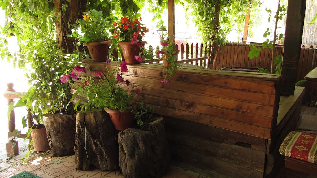 Olympos Natural Pansiyon Eksteriør billede